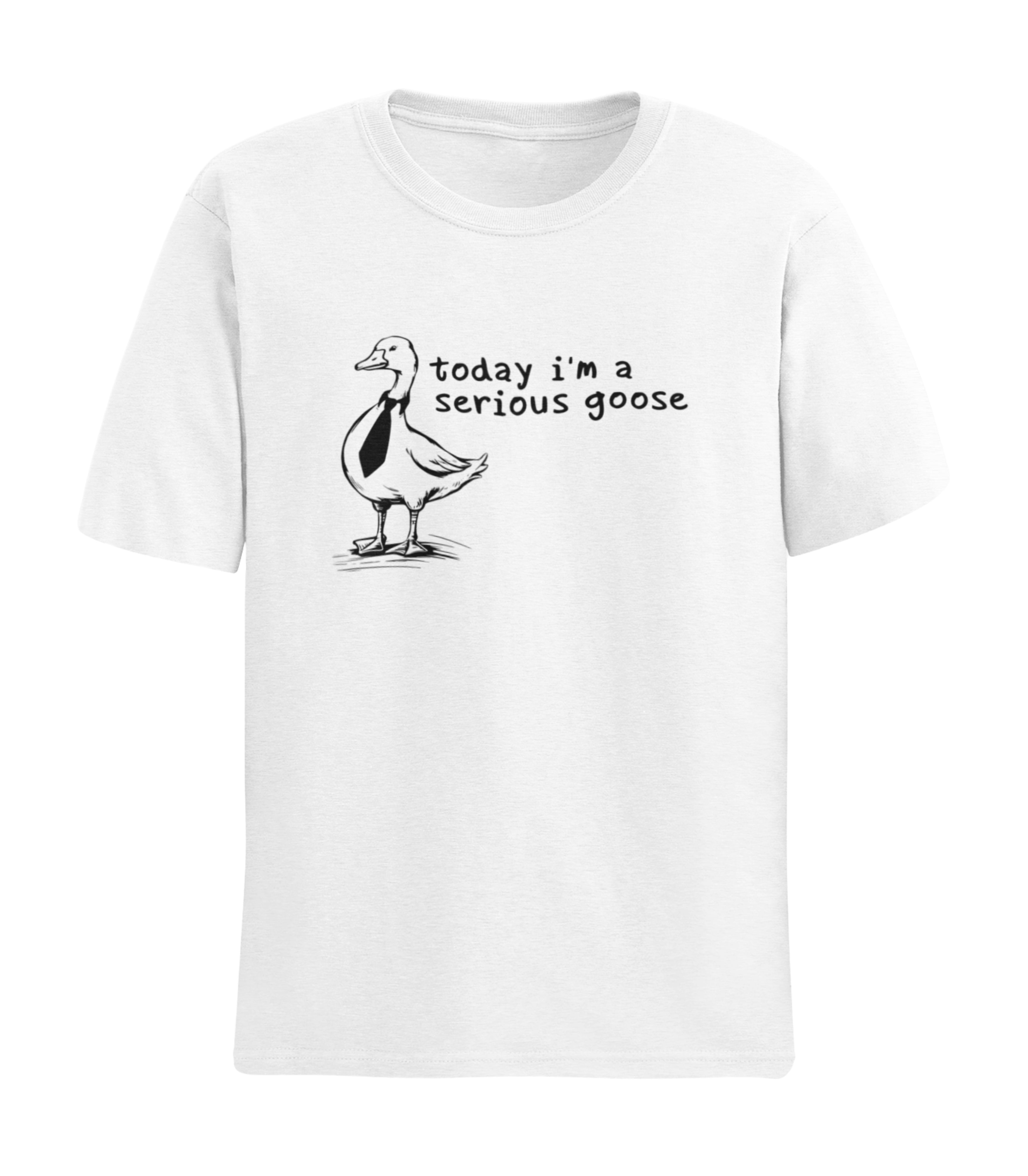 Today I Am a Serious Goose T-Shirt